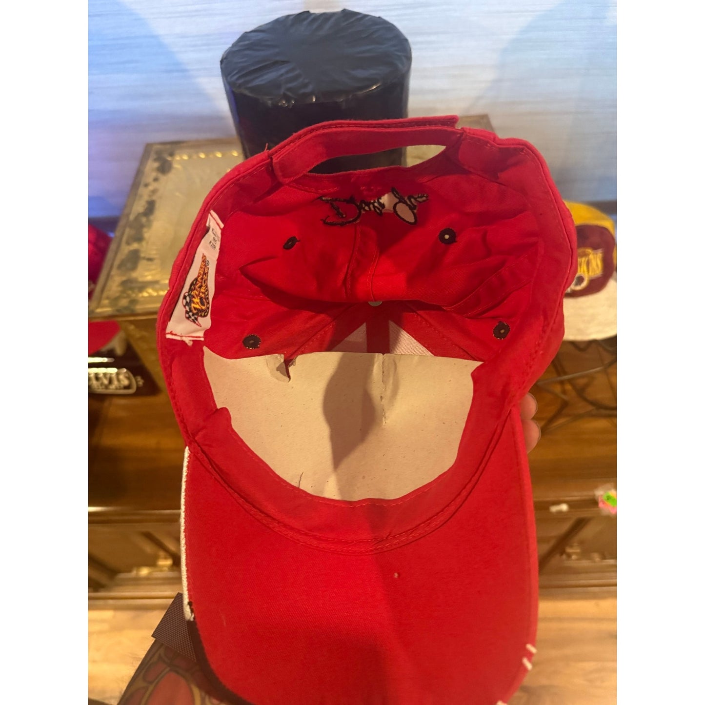 Dale Jr Racing Velcro Back