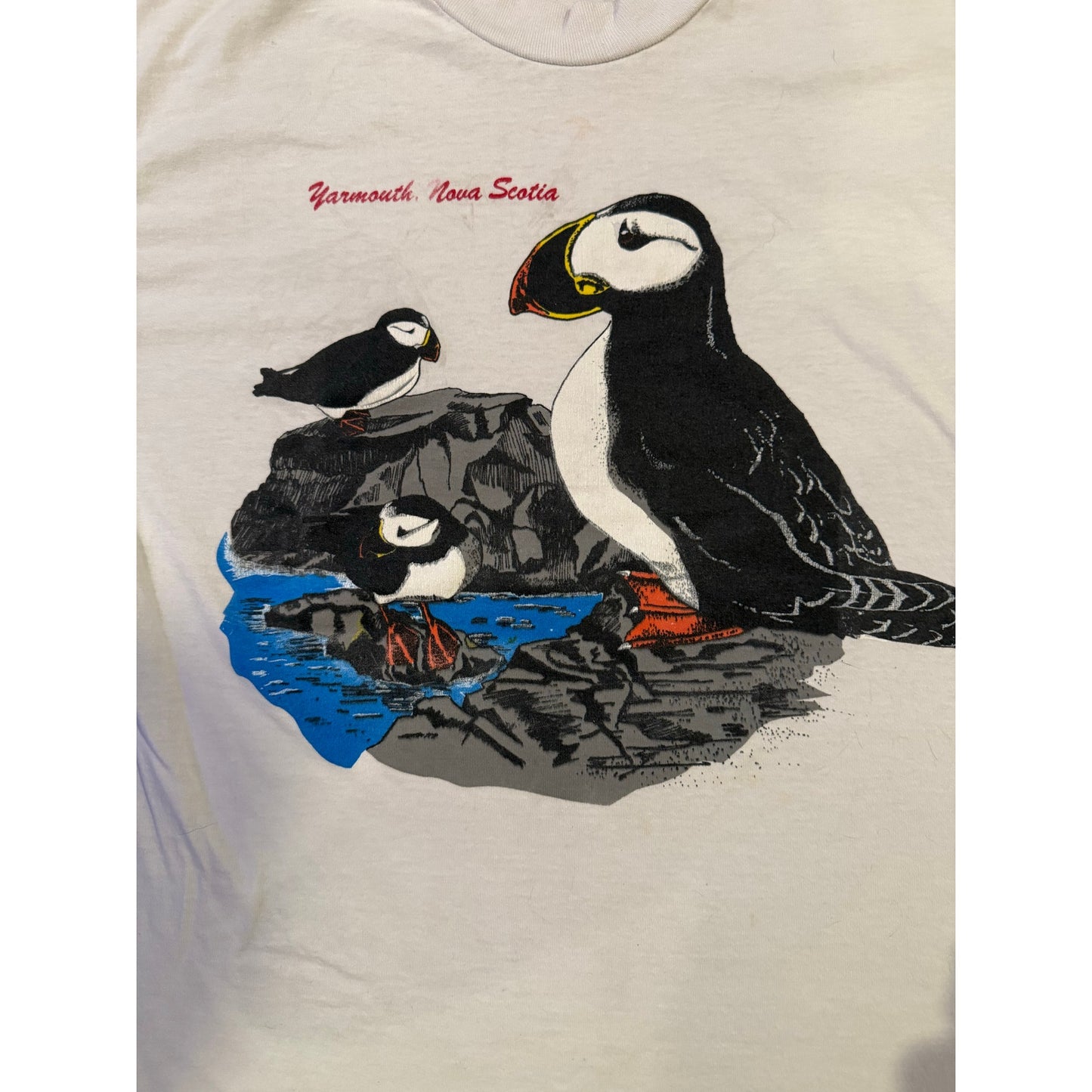 Yarmouth Nova Scotia Penguins