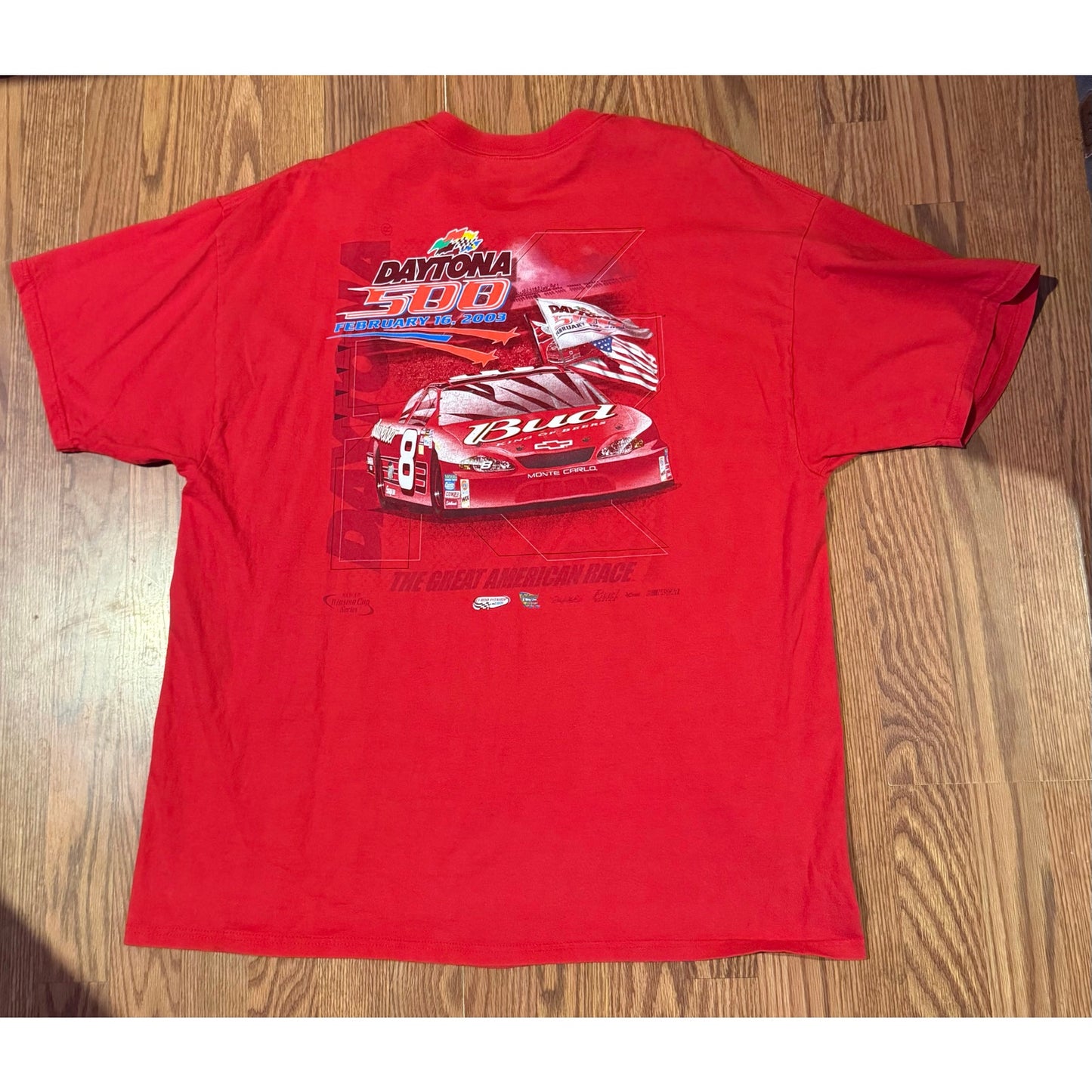 2003 Daytona 500 Earnhardt jr