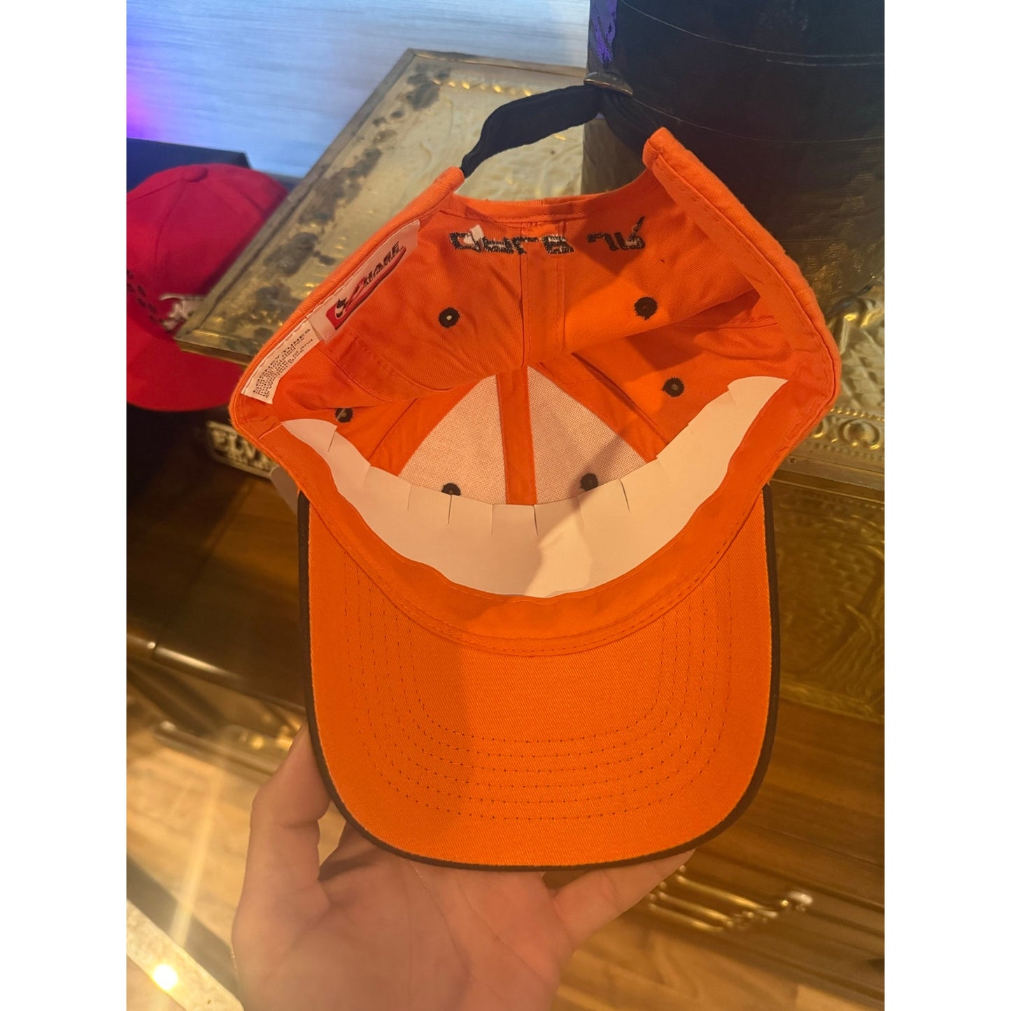 Dale Earnhardt Jr 8 Gossamer New With Tags