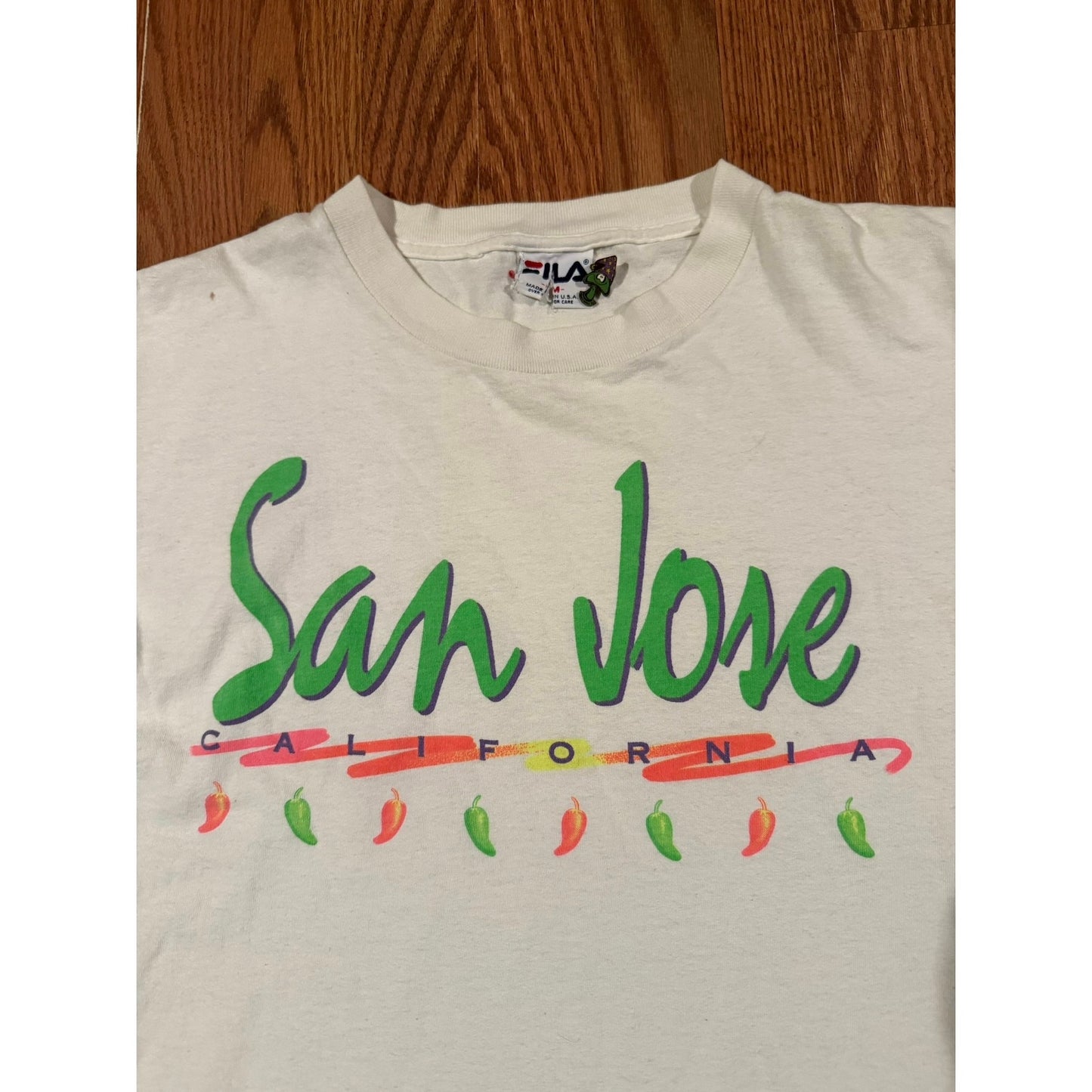 San Jose California vintage neon