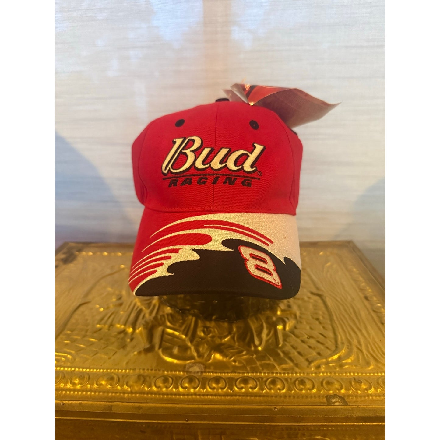 Dale Jr Racing Velcro Back