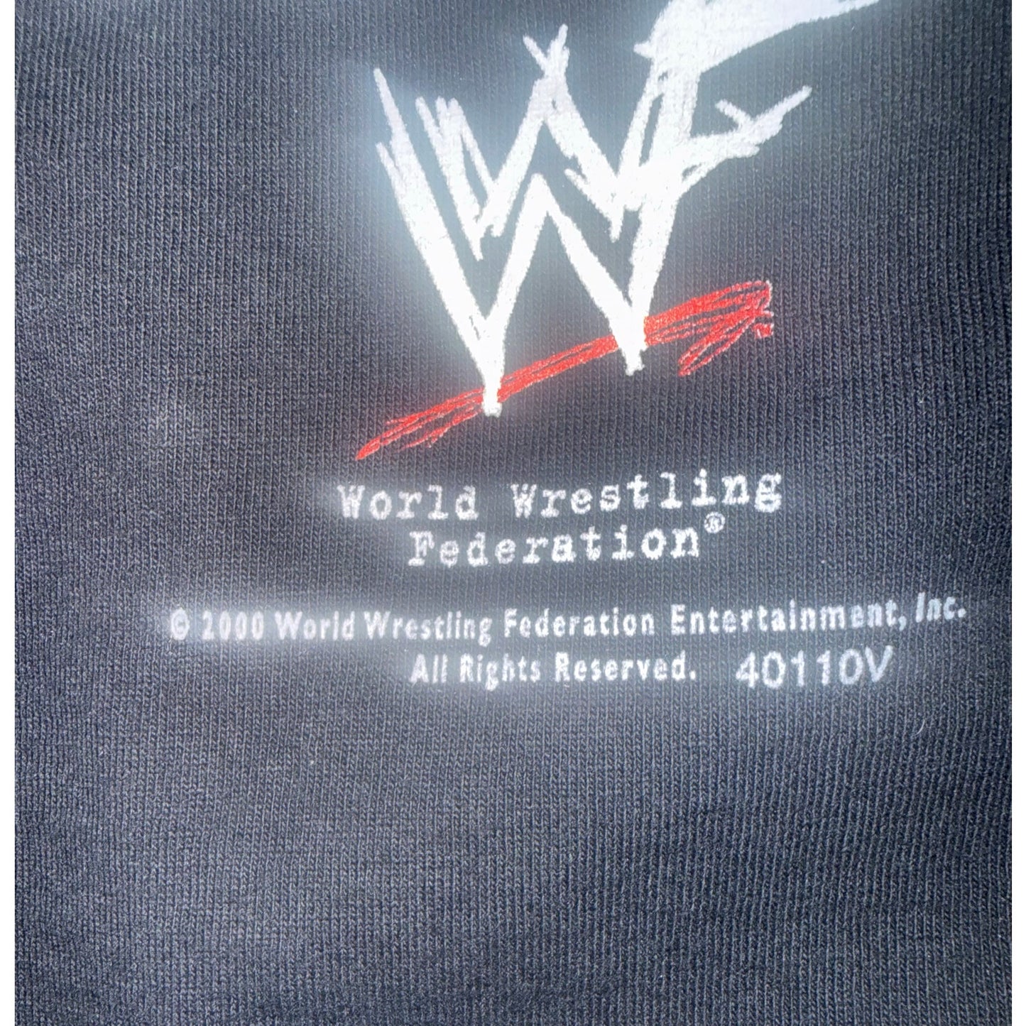 Y2K The Rock Smackdown Hotel