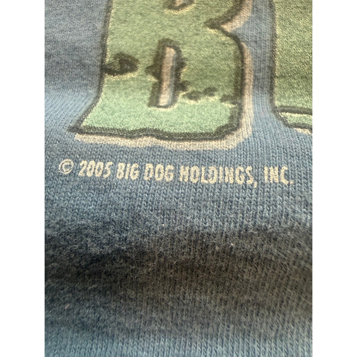 Big Dog Give a Damn Is Busted Size 4XL