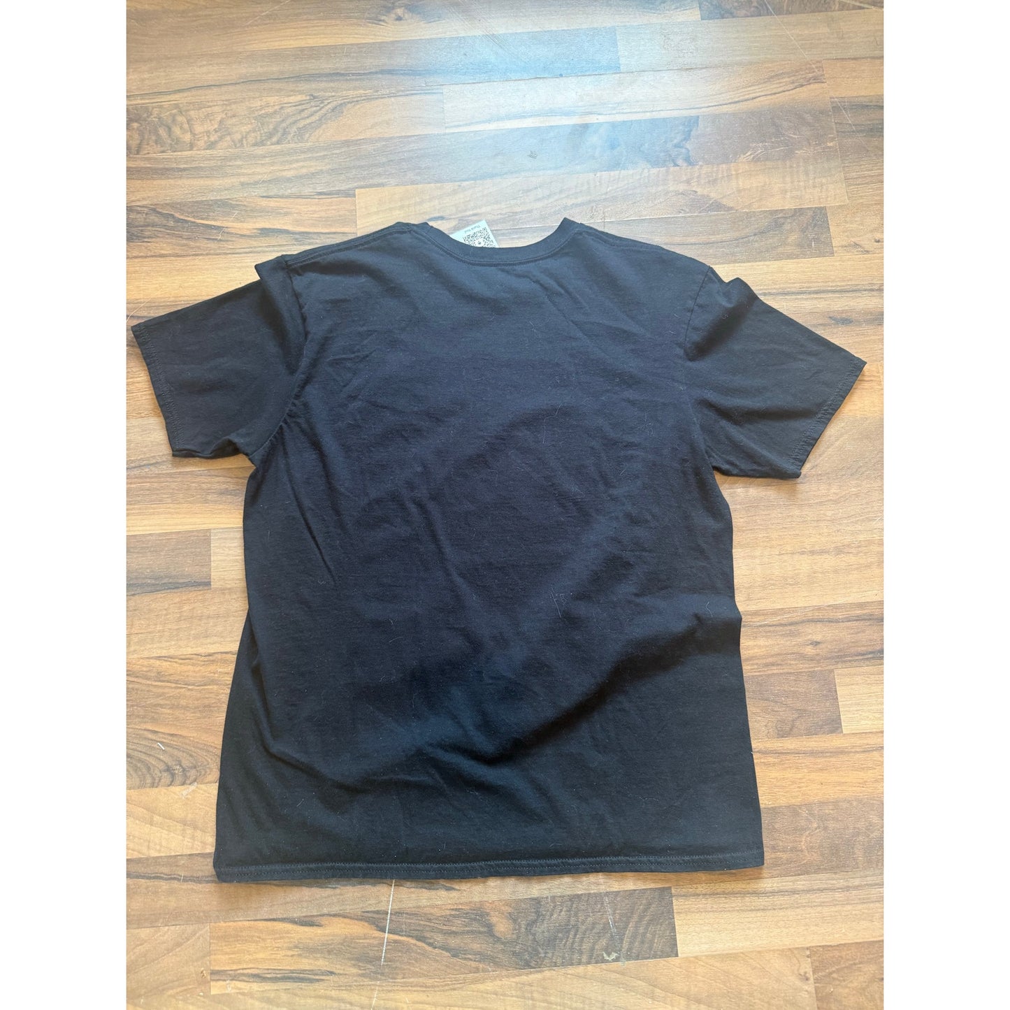 Universal Studios Jurassic World Size LG