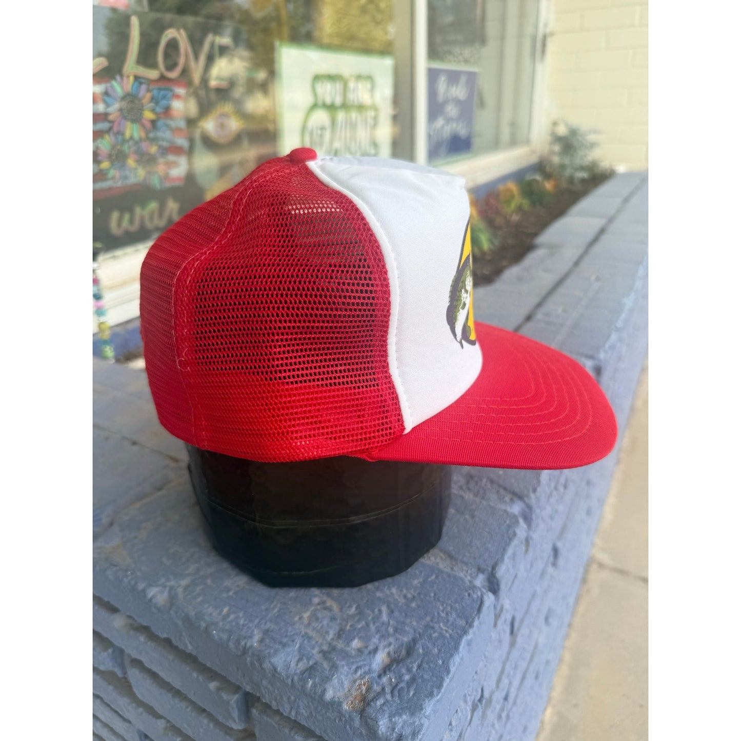 Vintage 90's Springfield, MO Bass Pro Shop Snapback