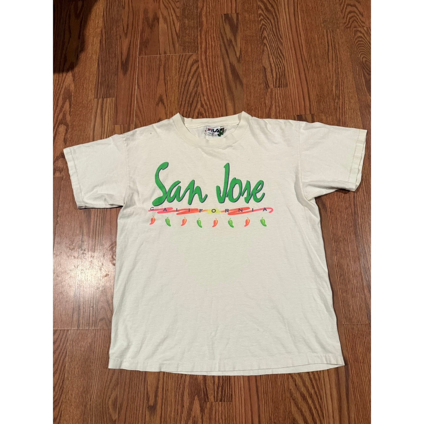 San Jose California vintage neon