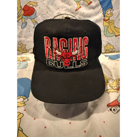 True vintage raging Chicago bulls hat