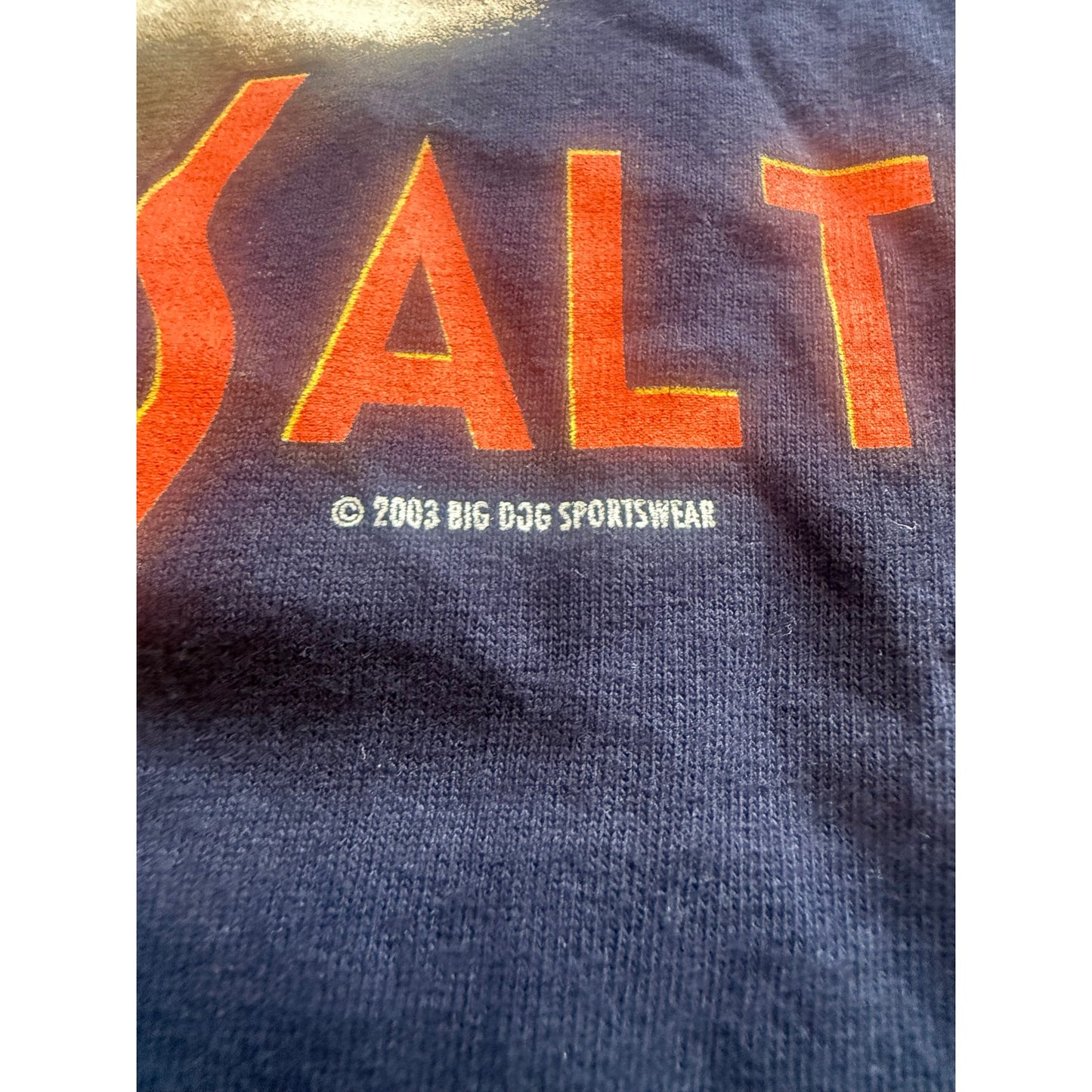 Big Dog Take Life With a Grain of Salt Size 4XL