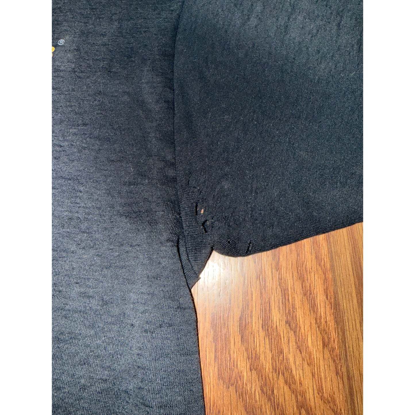 3D Emblem Ride With The Wind Harley Davidson