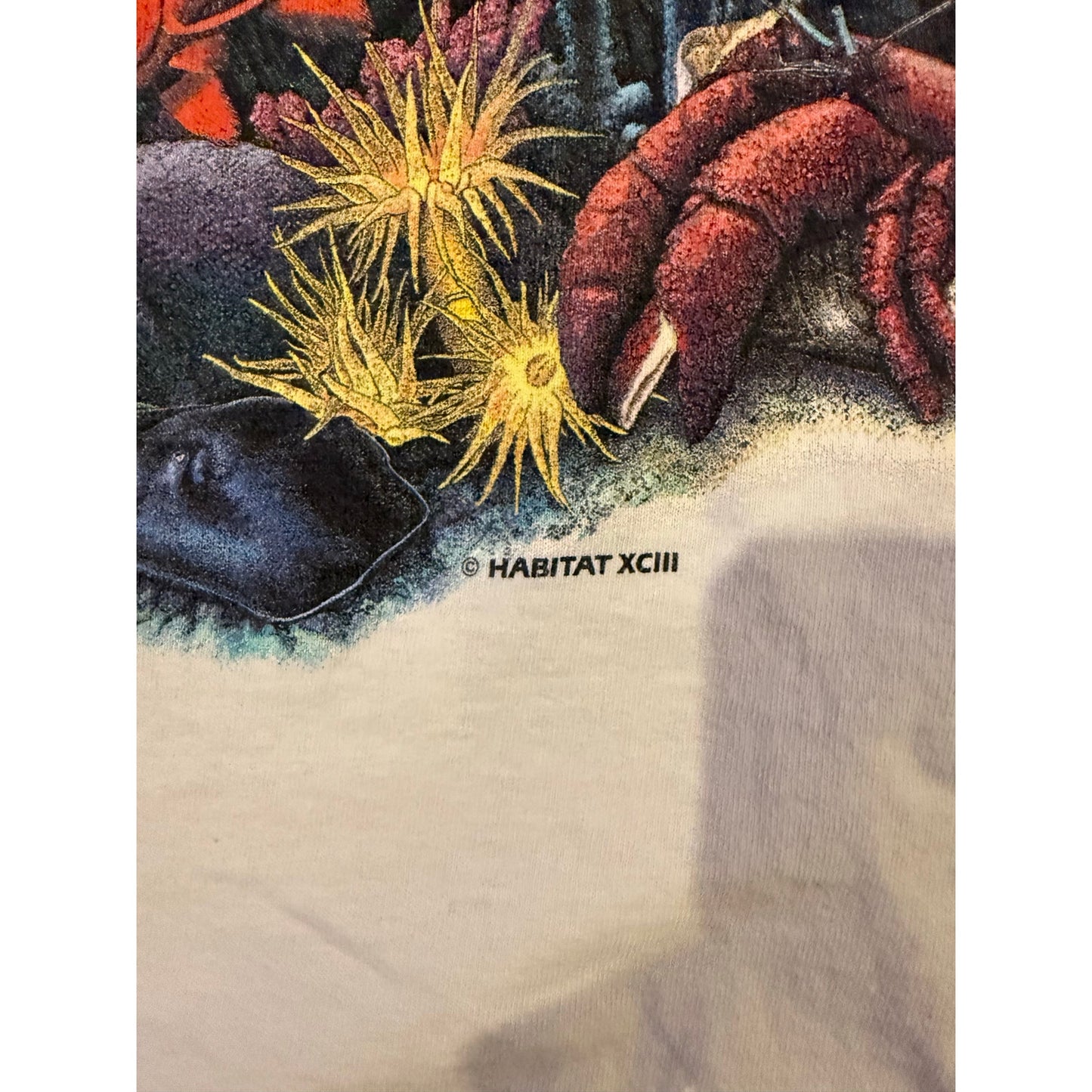 Habitat Ocean Double Sided Grail 1993