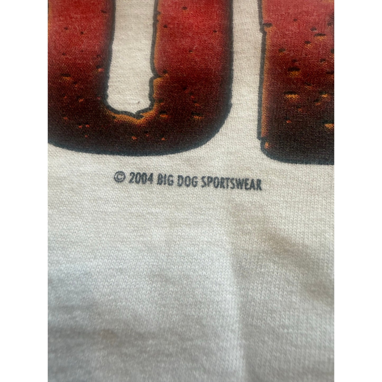 Big Dog Upped my Standards  Size 4XL