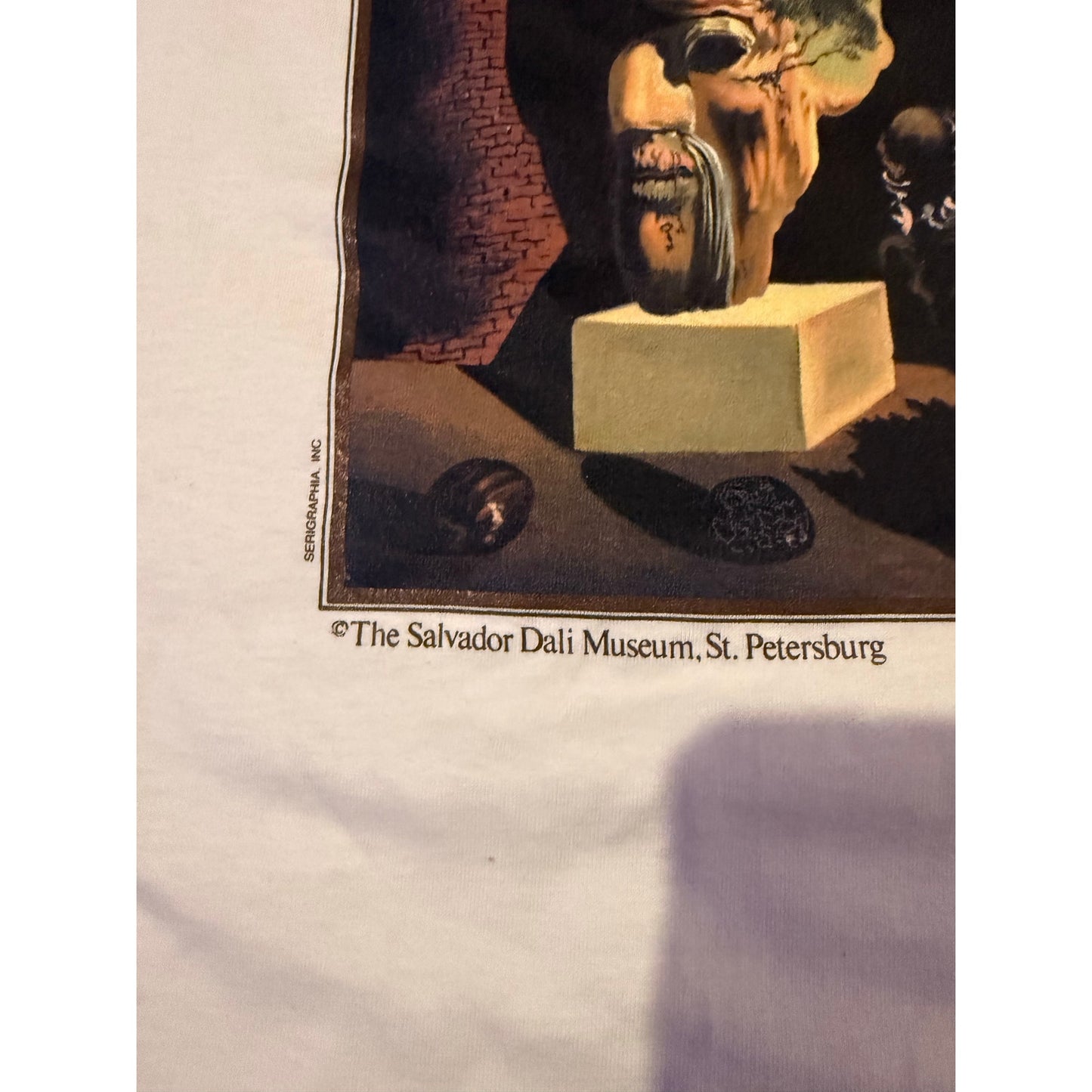 90s Dalí Serigraphia Museum Shirt w/ tag Old Age, Adolescence and Infancy