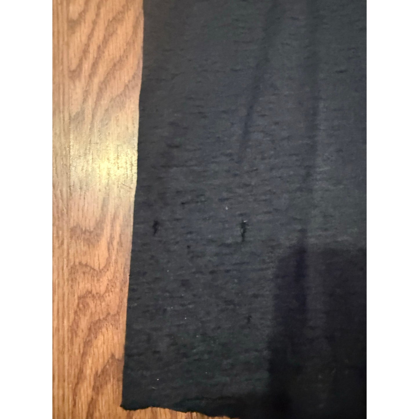 3D Emblem Ride With The Wind Harley Davidson