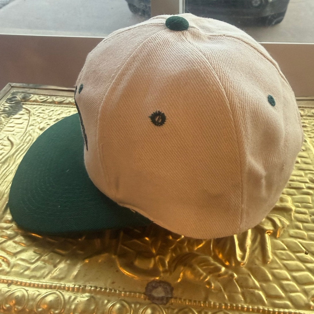 SIGNED Fuzzy Thurston Unfinished Business Packers Snapback