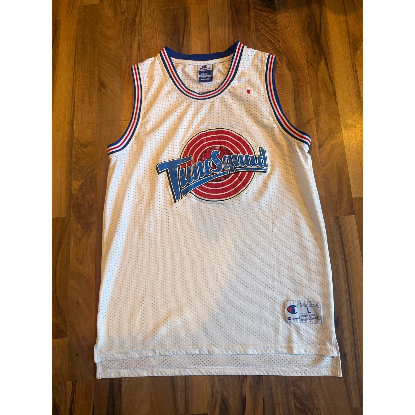 Tune Squad Jordan Jersey 90's Size Large