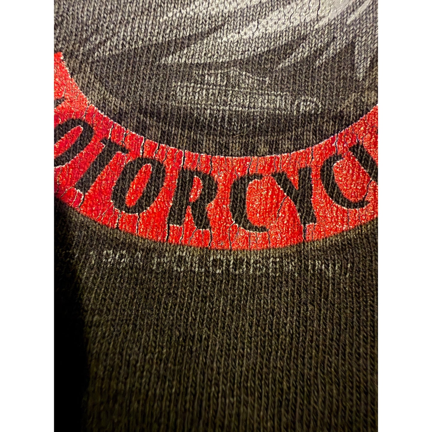 1990's Harley Davidson Beaver Falls Size XL