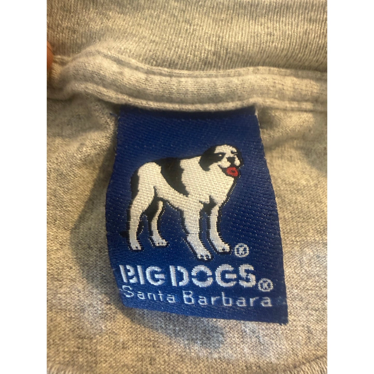 Big Dogs I Dont Do Mornings Size 4XL