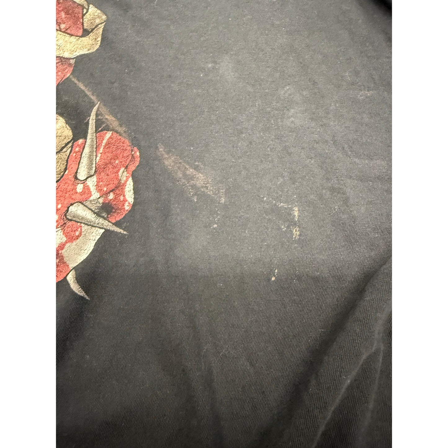 2011 Metallica Live at the Fillmore