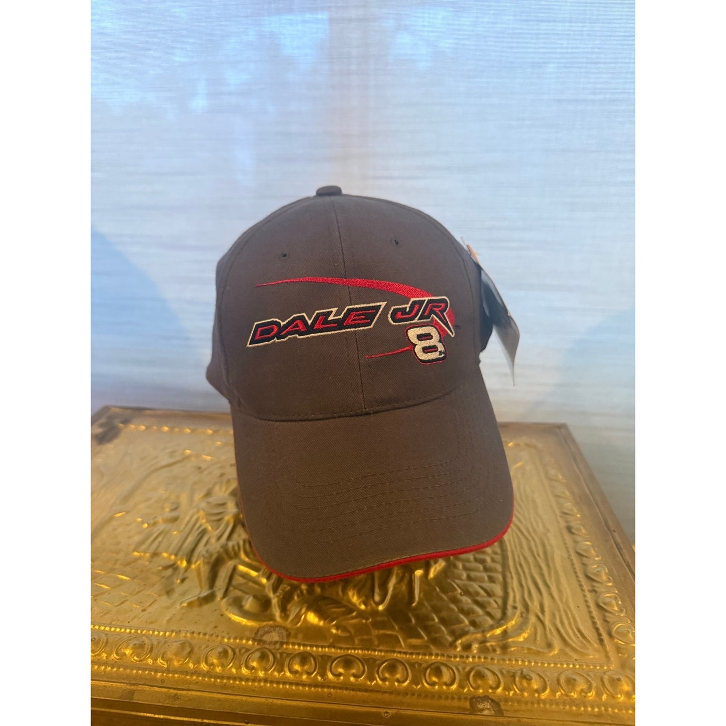 Dale Jr 8 winners circle new with tags