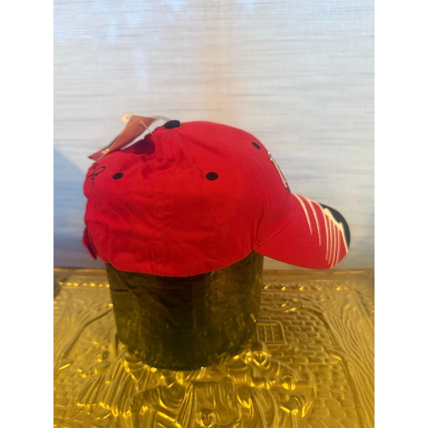 Dale Jr Racing Velcro Back