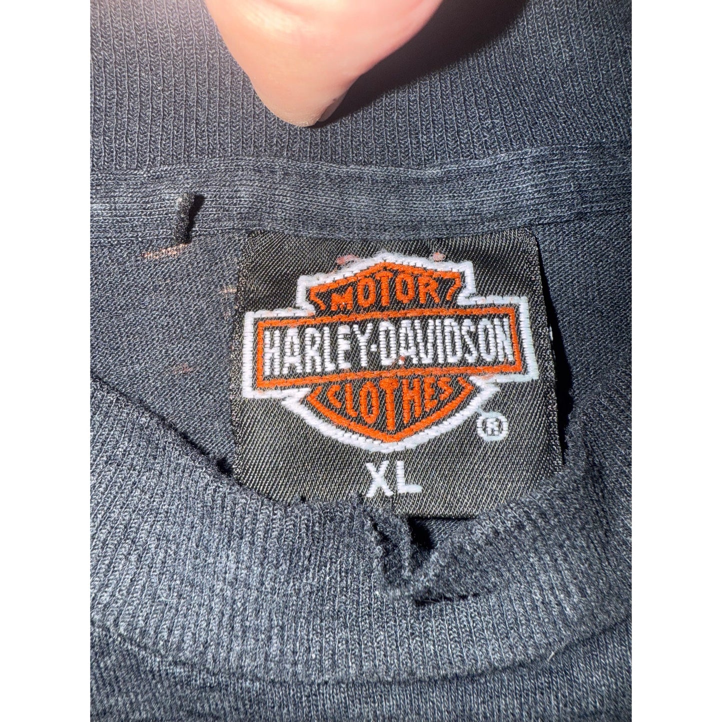 3D Emblem Ride With The Wind Harley Davidson