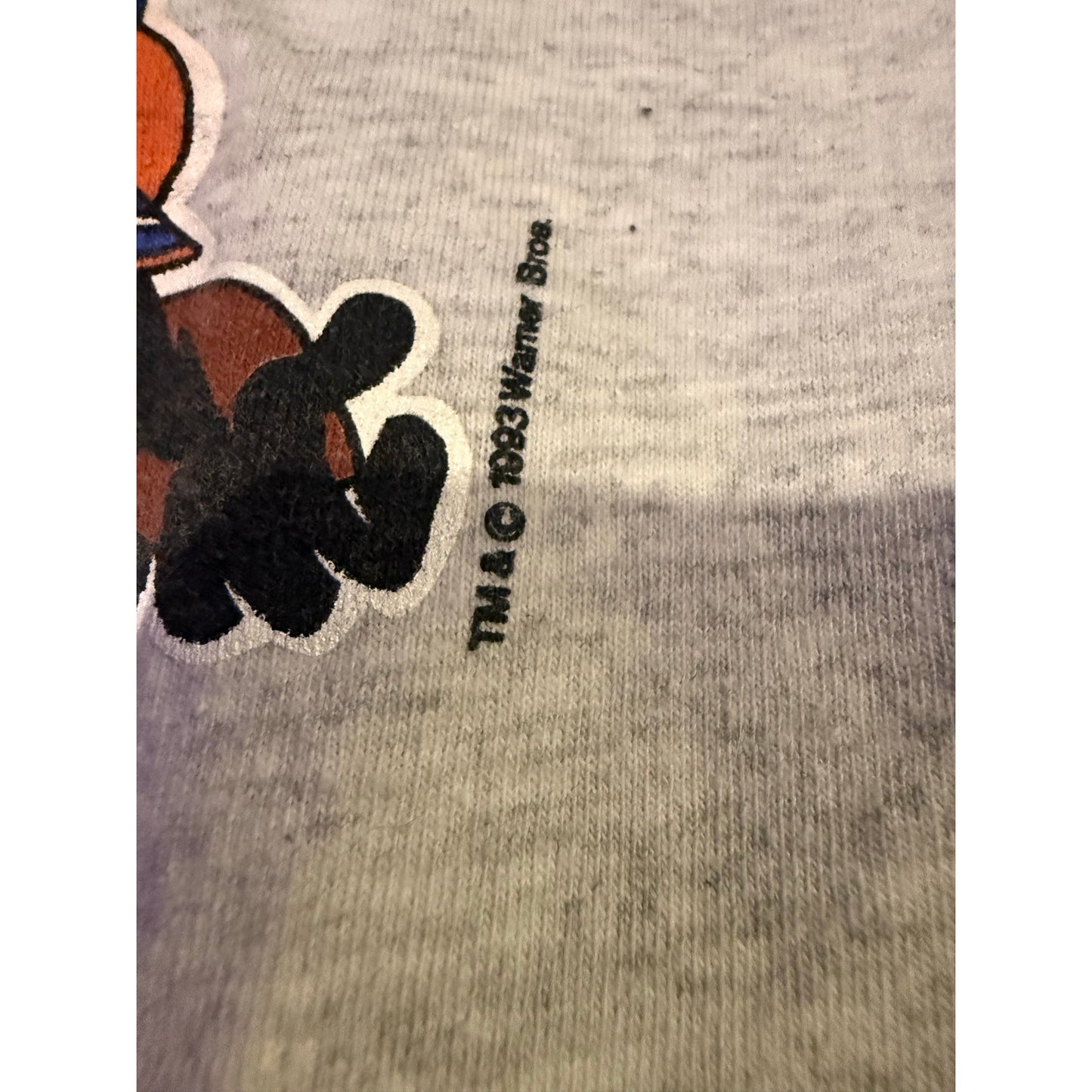 1993 Denver Broncos Looney Tunes Break Through Size Medium