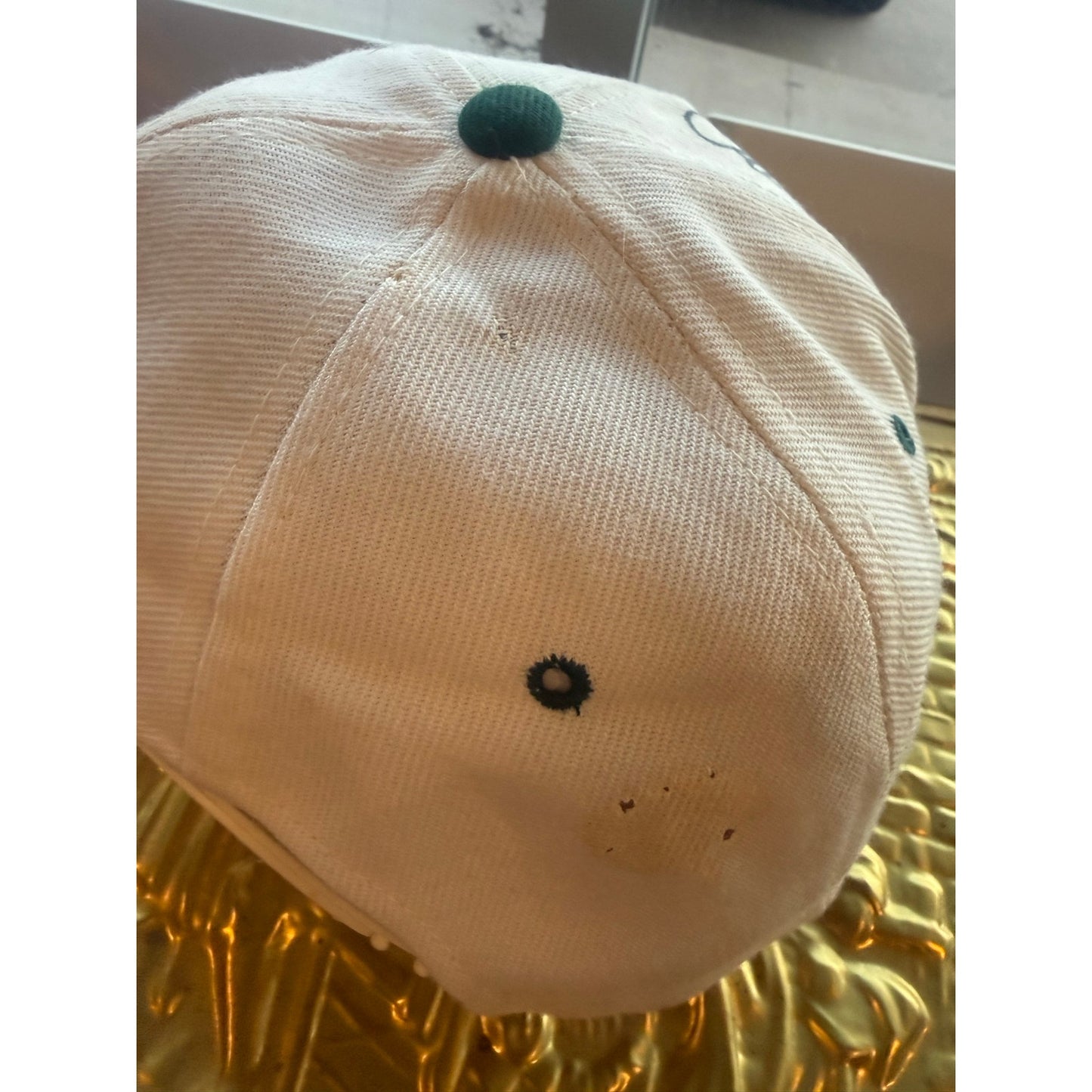 SIGNED Fuzzy Thurston Unfinished Business Packers Snapback