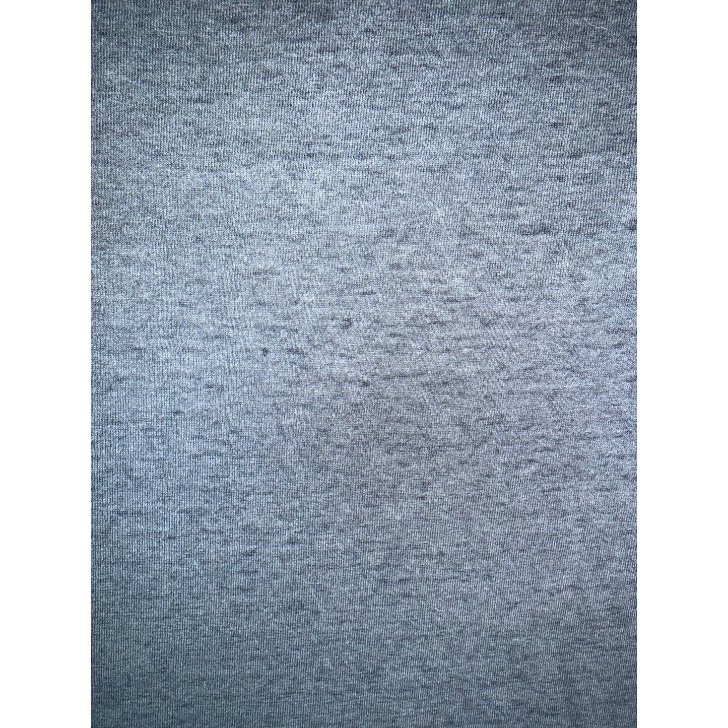 3D Emblem Ride With The Wind Harley Davidson