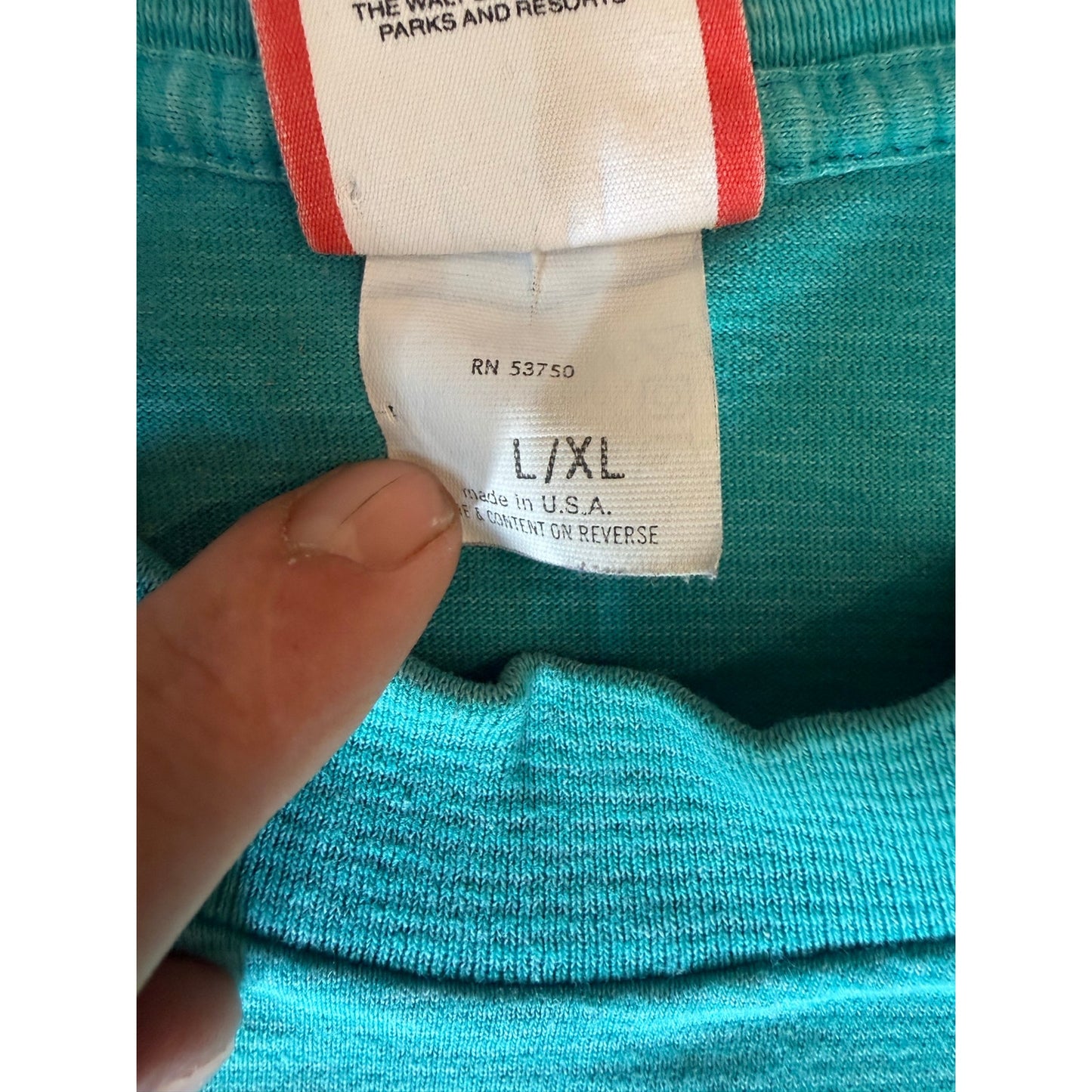 Mickey Mouse Subtle Turquoise/Teal Stripes Size L/XL