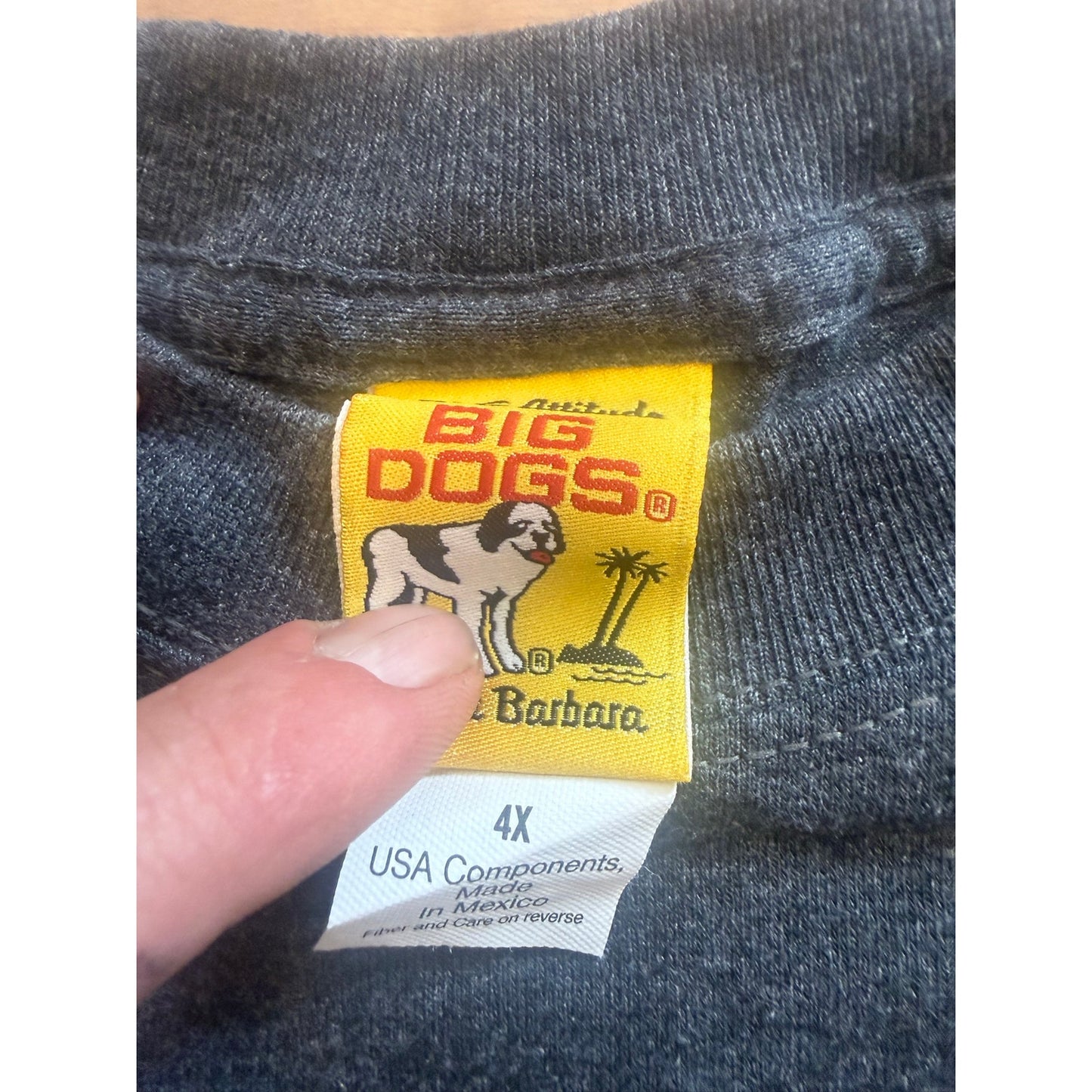 Big Dog I Don't Fetch Size 4XL